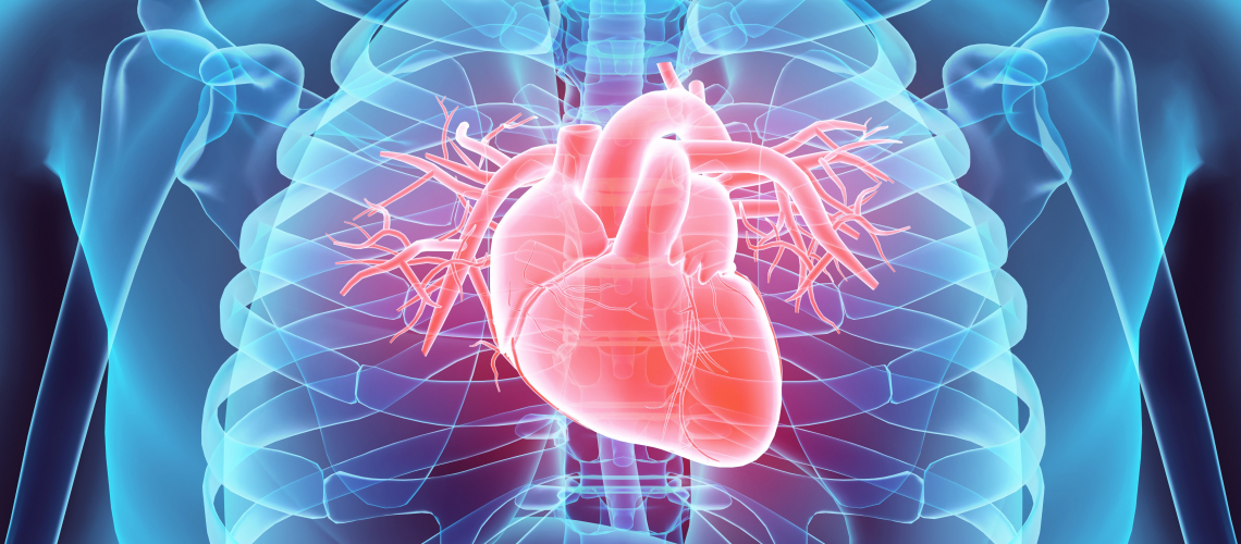 Фибрилляция предсердий: фокус на пожилых пациентов